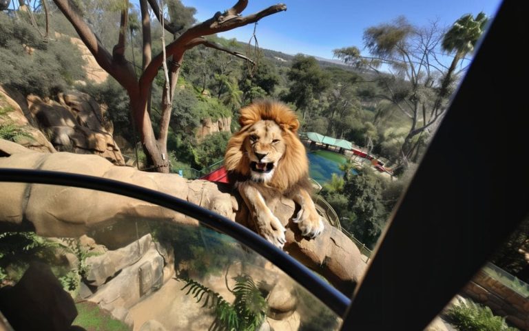 Animália Park: Conheça Este Parque SENSACIONAL em Cotia