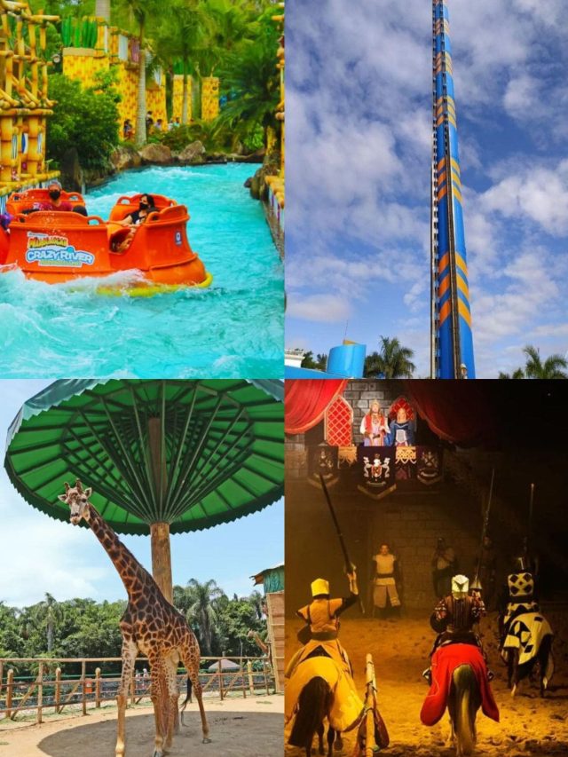 5 Melhores atrações do Beto Carrero World