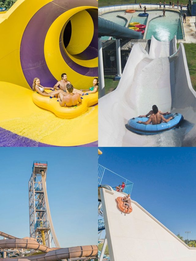 5 Motivos Para Visitar o Parque Aquático Wet’n Wild em Itupeva