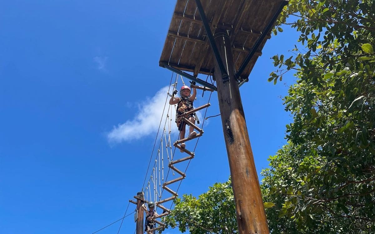 atrações engenhoca parque: arvorismo