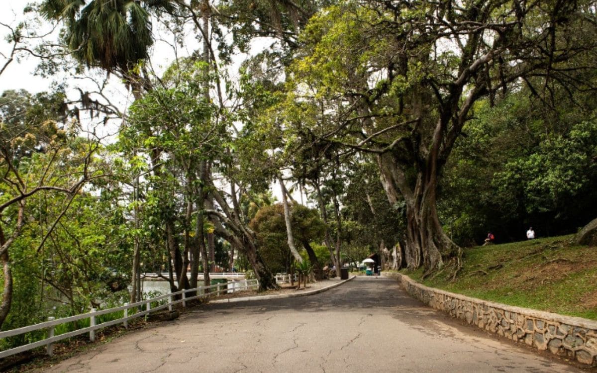 horto florestal em são paulo