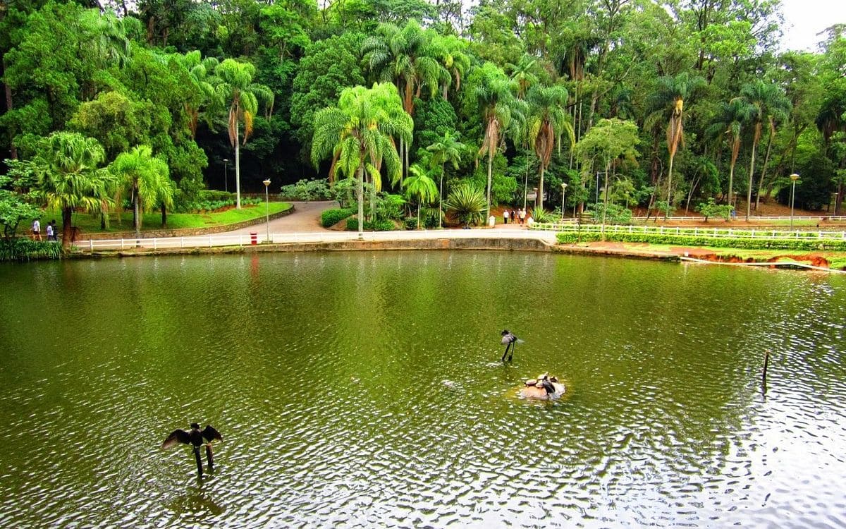 horto florestal sao paulo lagos