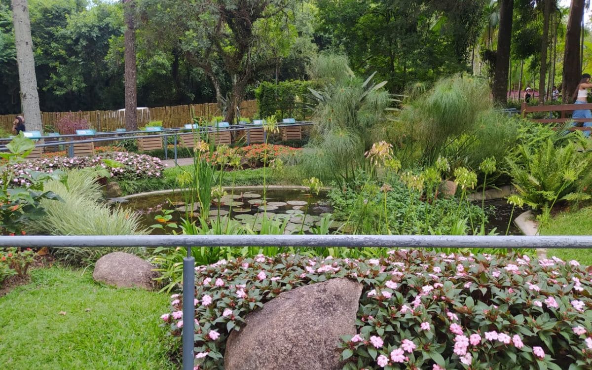 jardim das sensações jardim botânico curitiba