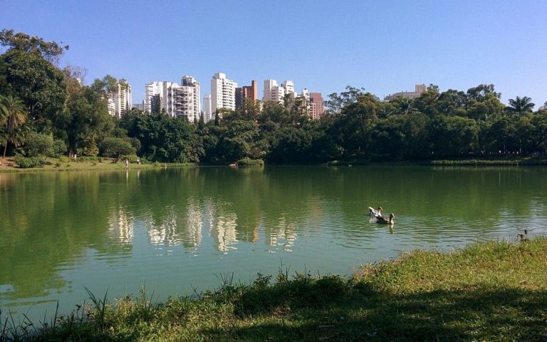 Conheça as maravilhas do Parque da Aclimação em São Paulo