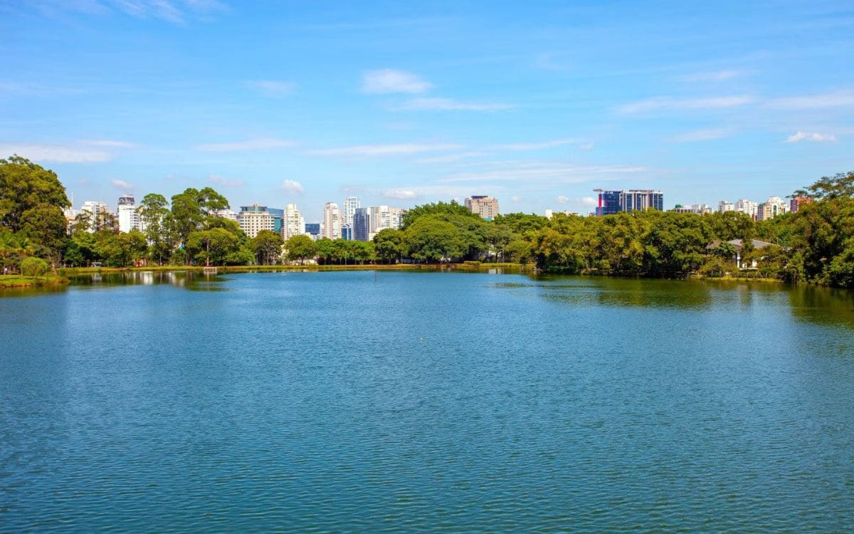 parque da aclimacao lago