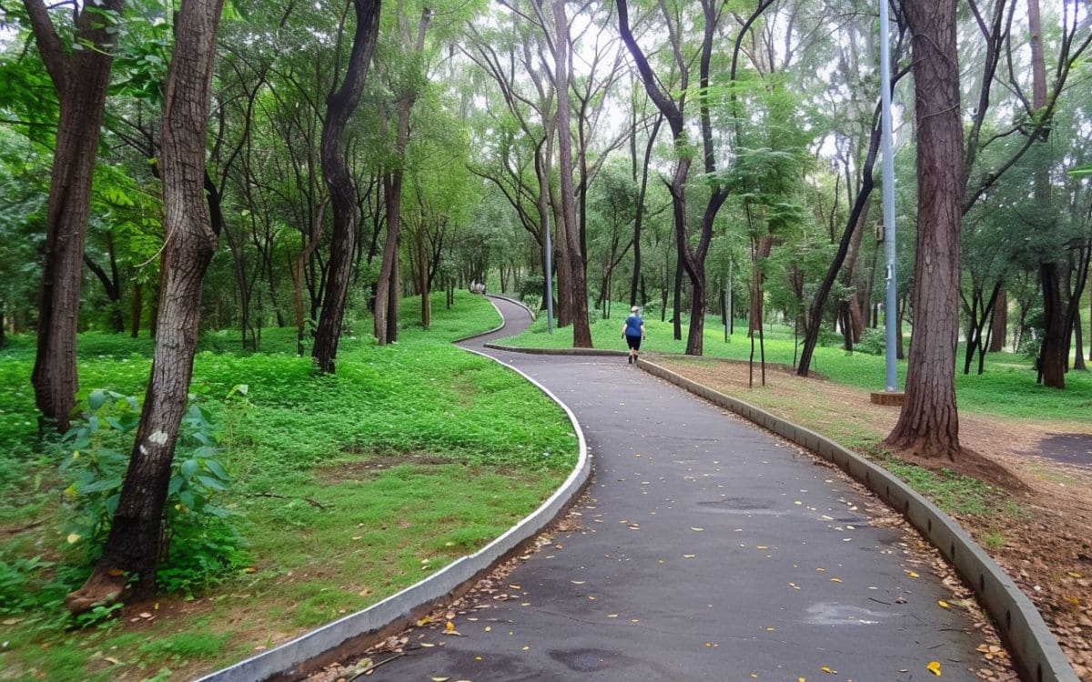 parque da aclimação são paulo