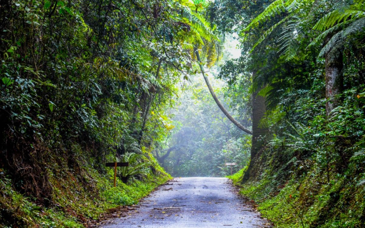 parque estadual da cantareira