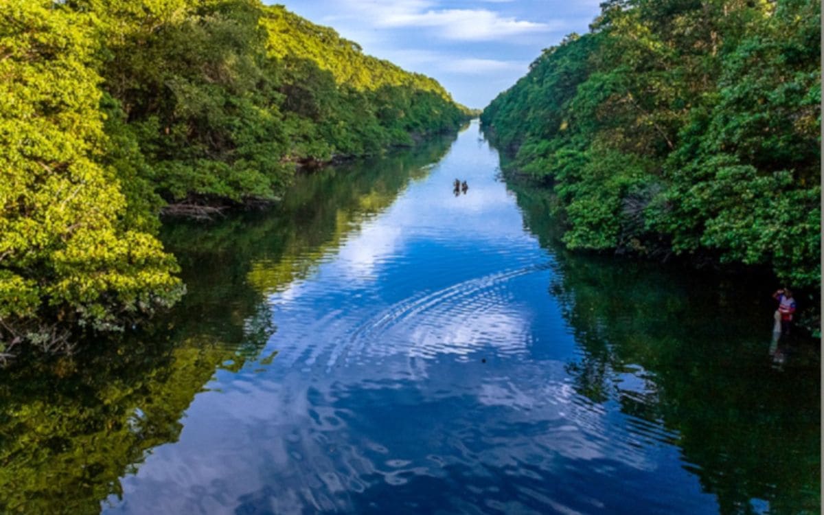 parque estadual do cocó fortaleza