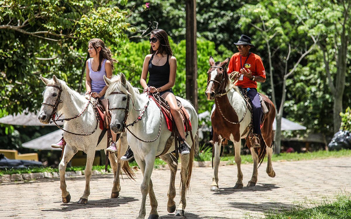 thermas water park: fazendinha do vo braulio