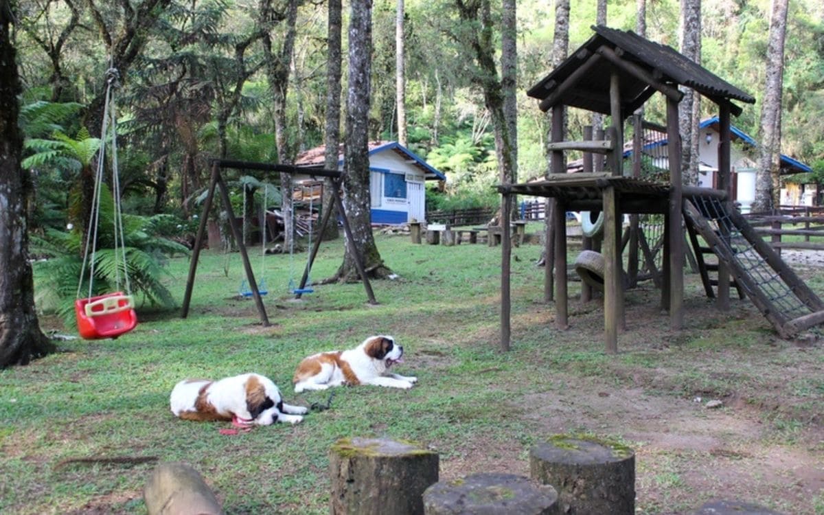 parque villaleta área kids