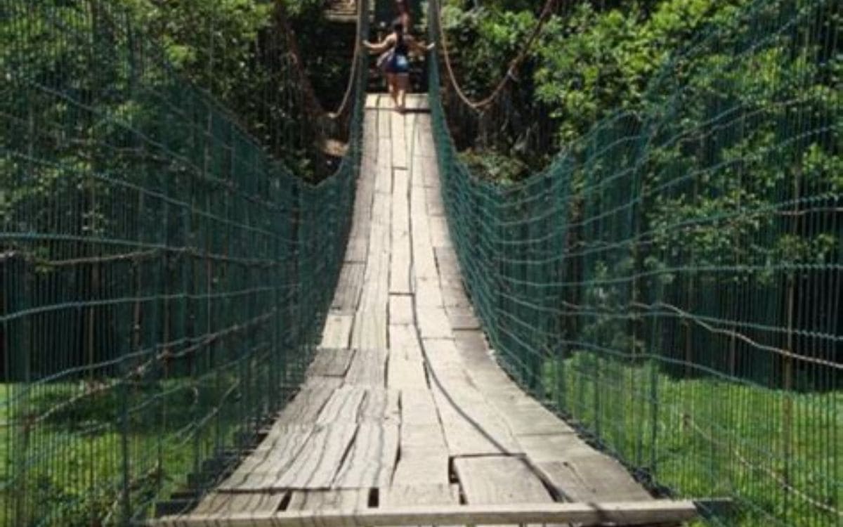 atividades no parque ecológico maracajá