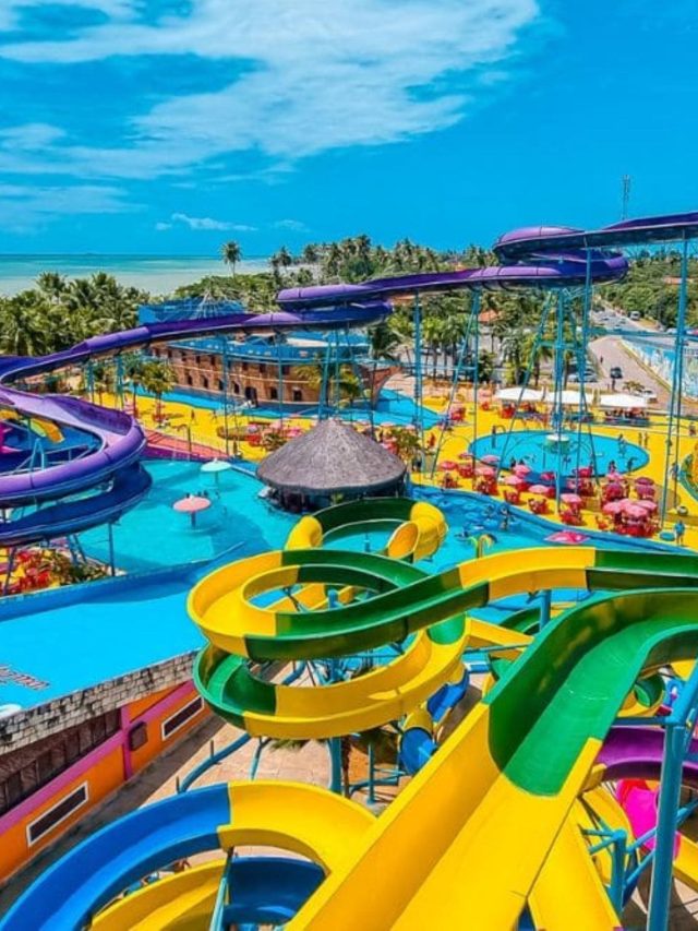 7 Motivos Para Visitar o Veneza Water Park em Pernambuco