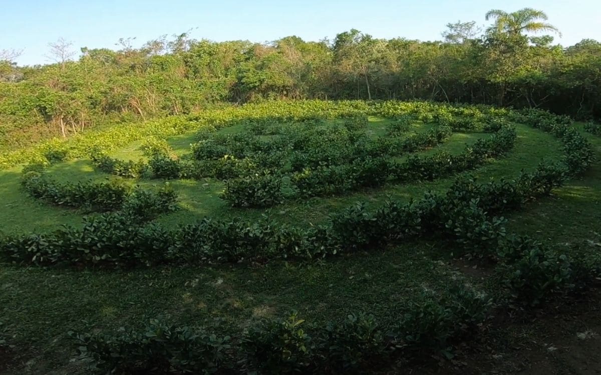 horto do parque ecológico balneário camboriú