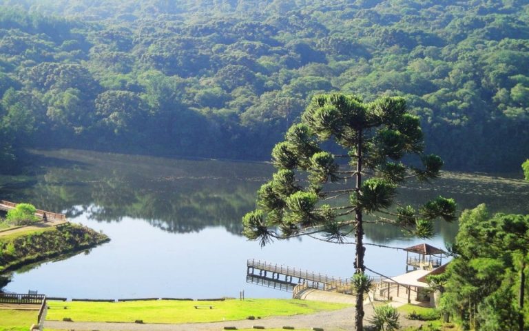 Parque dos Pinheiros: Um Santuário Ecológico em Gramado