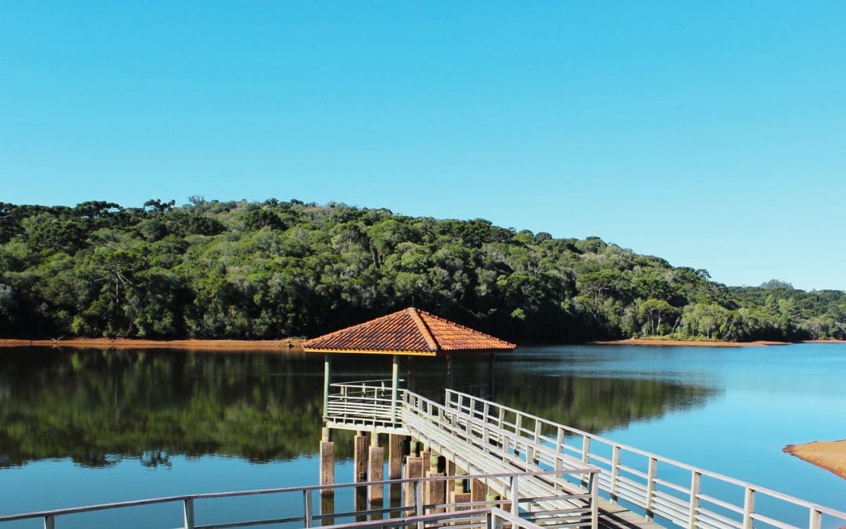 parque dos pinheiros