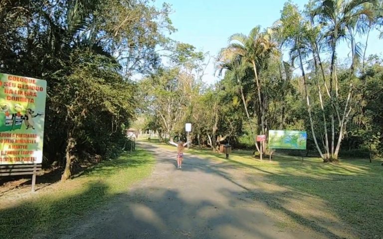 Conheça as Belezas do Parque Ecológico Balneário Camboriú