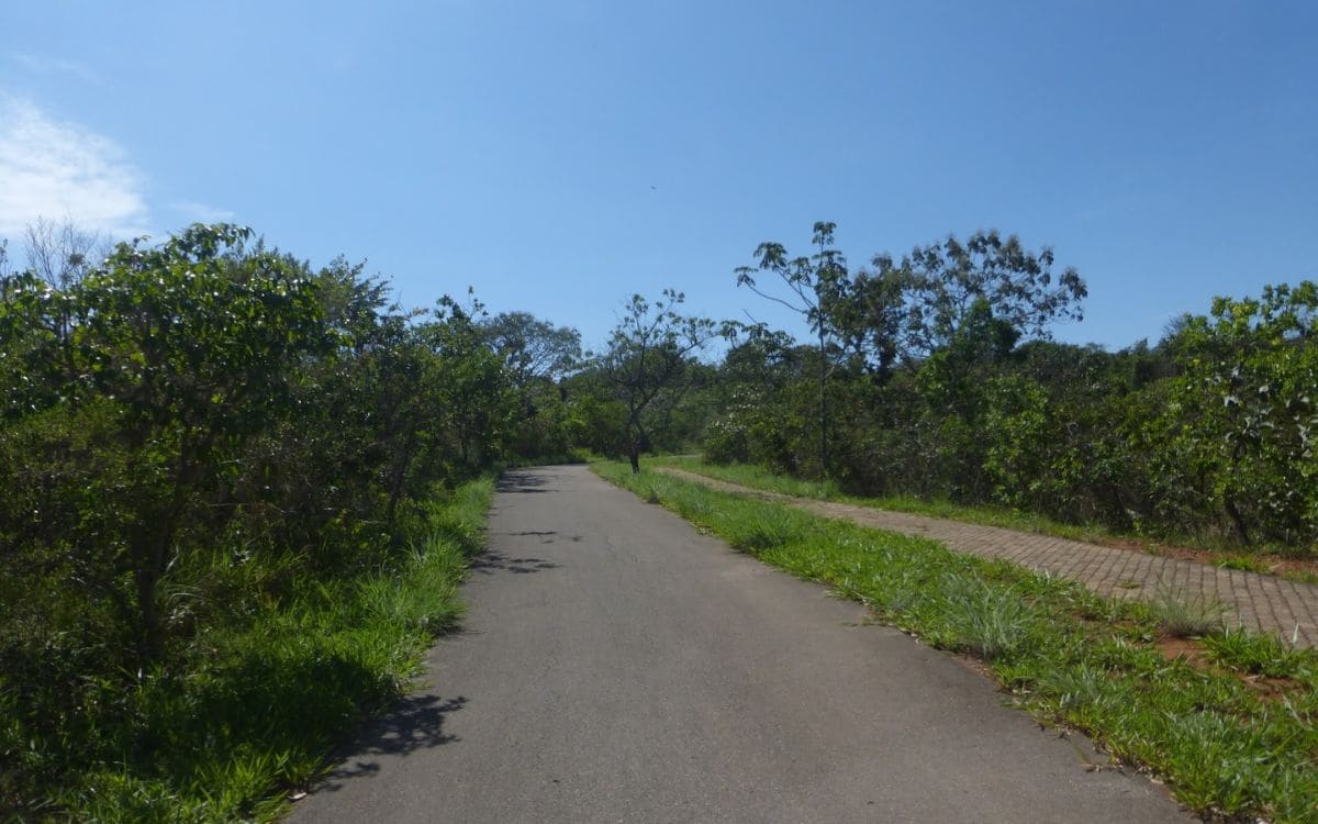 parque ecológico dom bosco