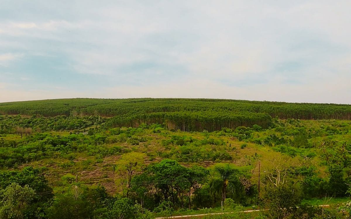 parque ecológico da barreira em itararé