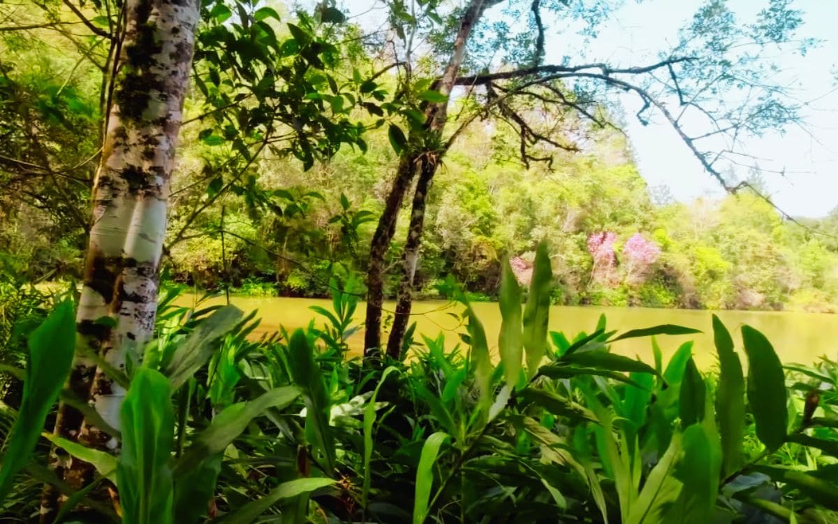 parque estadual itaberaba