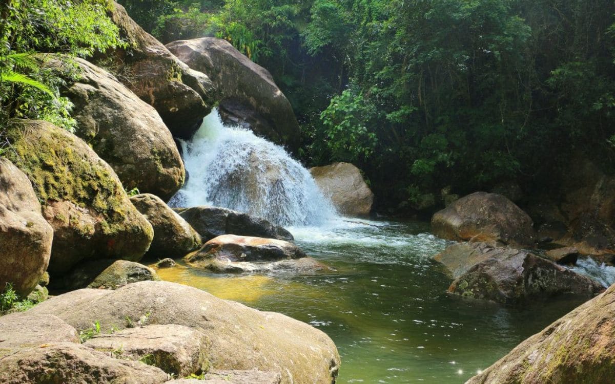 parque estadual serra do mar nucleo caraguatatuba