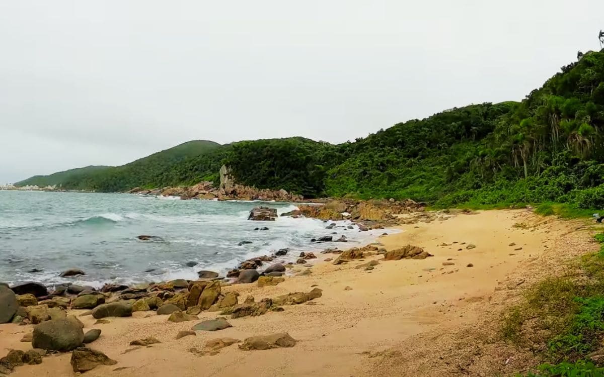 praia no parque natural da galheta em bombinhas sc