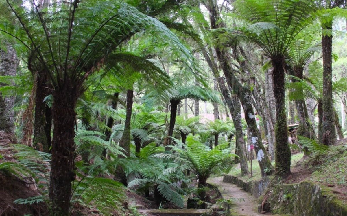 parque villaleta caminho das fontes