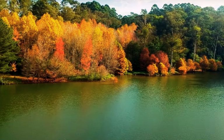 Parque Witeck: Maravilha da Natureza no Rio Grande do Sul