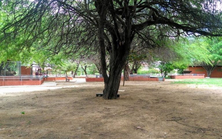 Parque Zoobotânico da Caatinga