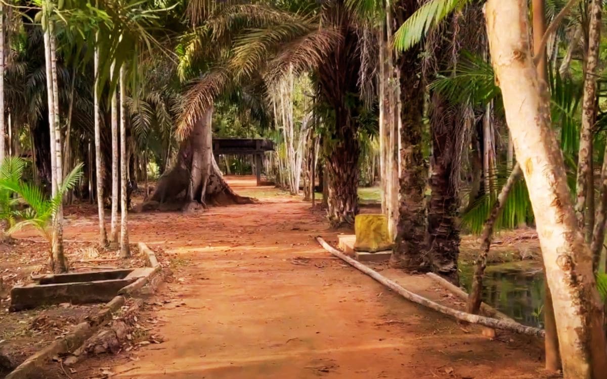 parque de ambiental paragominas