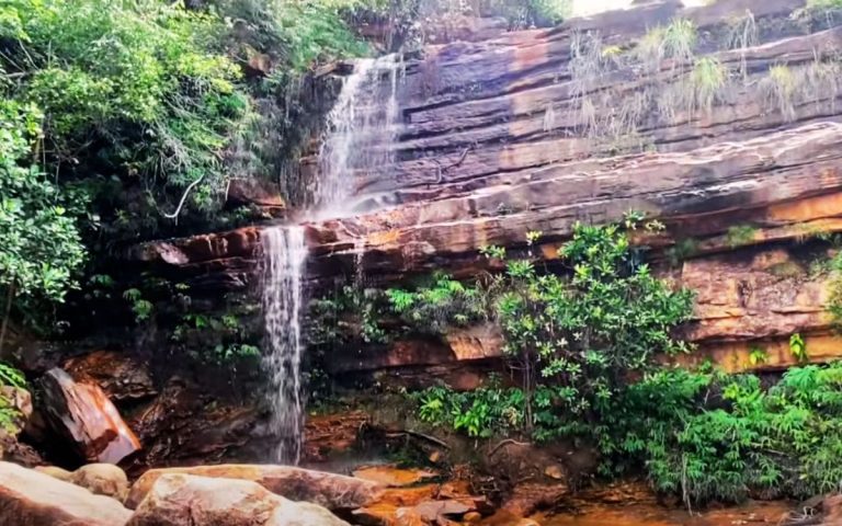 Descubra as Maravilhas Naturais do Parque da Muritiba