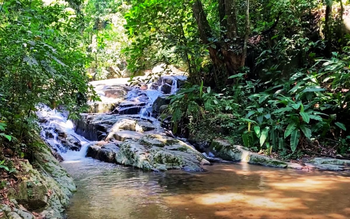 parque estadual da pedra branca