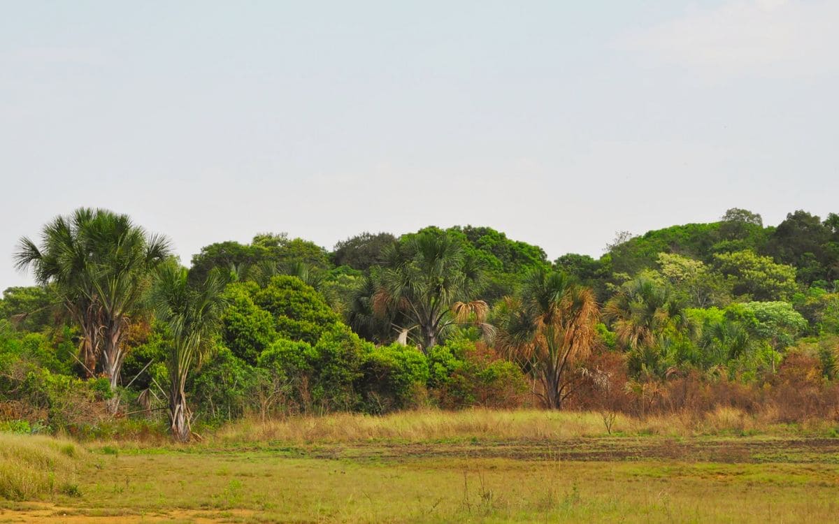 parque estadual do descoberto em água lindas de goiás