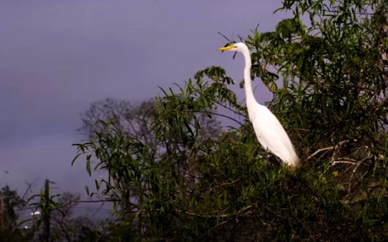 Saiba TUDO sobre o Parque Monjolo em Foz do Iguaçu