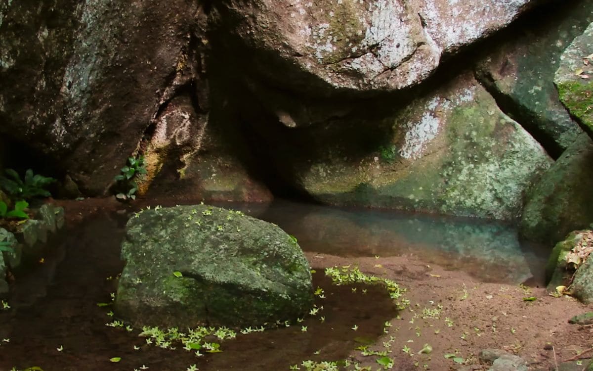 parque municipal gruta da onça