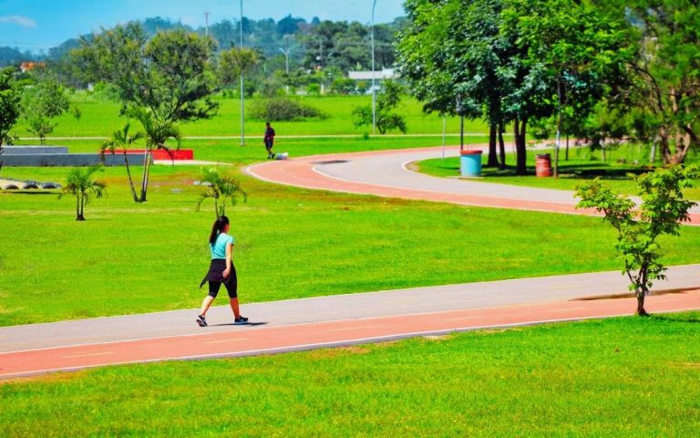 Guia Completo do Parque Municipal Max Feffer em Suzano