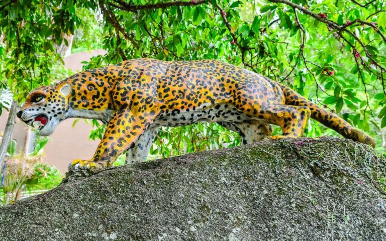 Conheça o Belo Parque Natural Municipal Gruta da Onça