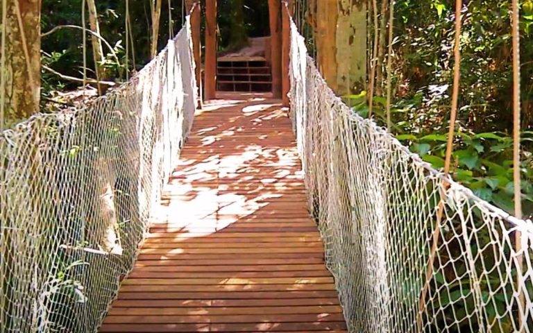 Saiba TUDO sobre o Parque Estadual Matas do Segredo