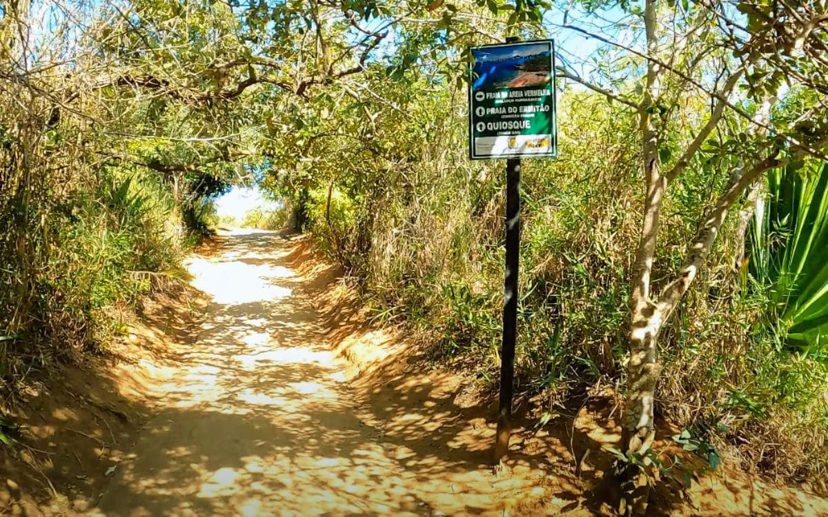 trilha no parque morro da pescaria