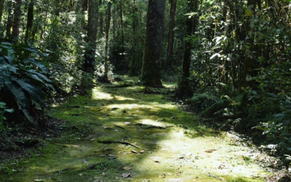 trilhas na estancia ouro fino