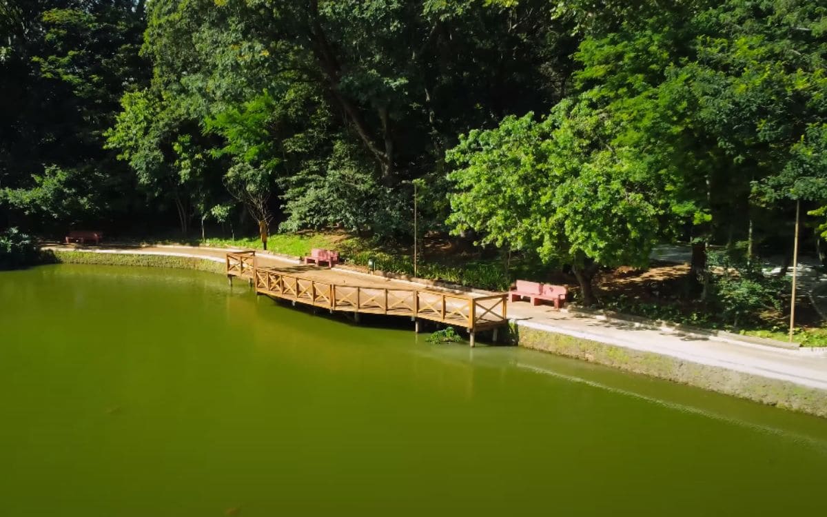 lago do bosque dos buritis