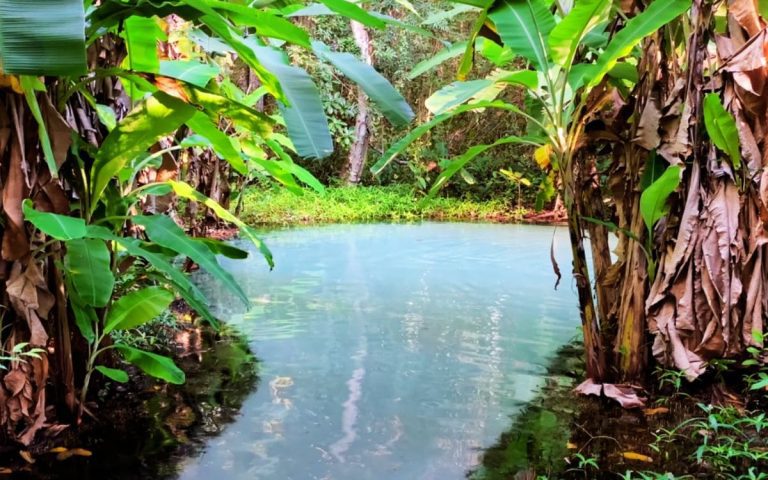 Guia para Explorar as belezas do Parque Estadual do Jalapão