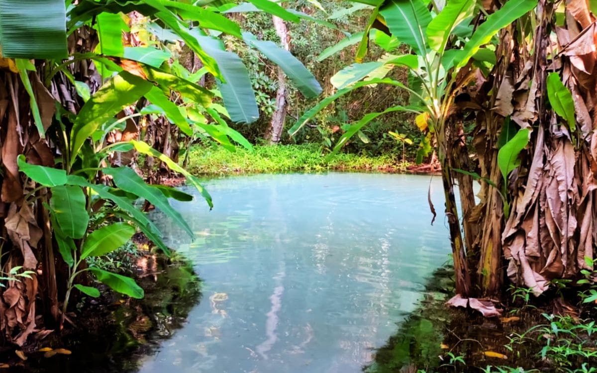 parque estadual do jalapão fervedouro