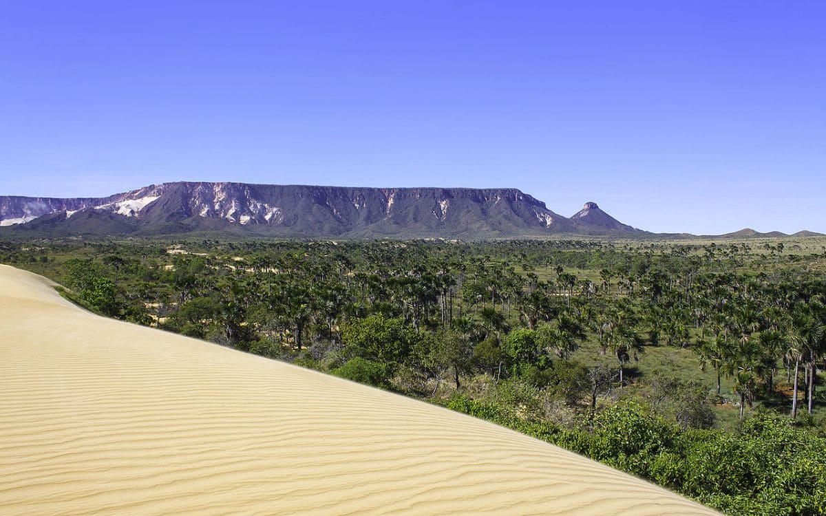 dunas no parque estadual do jalapão