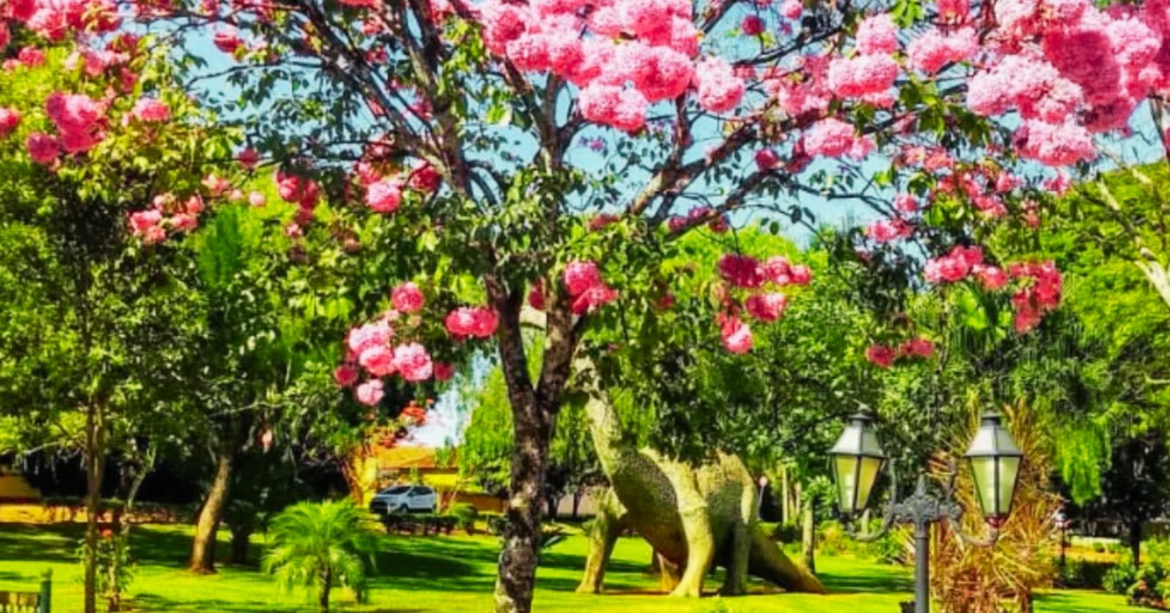 museu dos dinossauros em uberaba