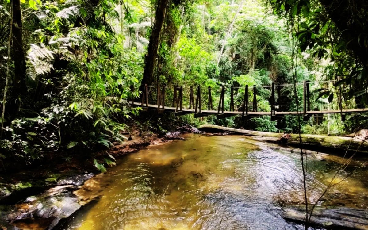 o que fazer no parque natural municipal do trabiju