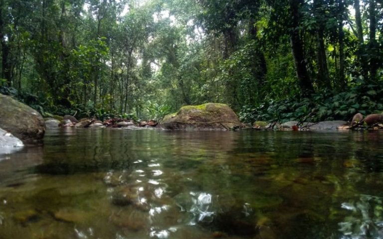 Parque Municipal da Taquara: Opção de Lazer na Natureza em Duque de Caxias