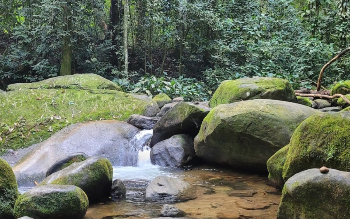 cachoeira no parque municipal da taquara