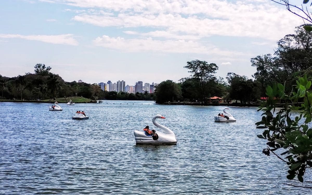 pedalinhos no parque ecológico do tietê