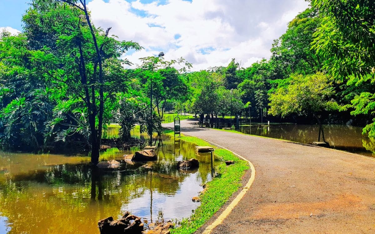 parque curupira é bom para caminhadas