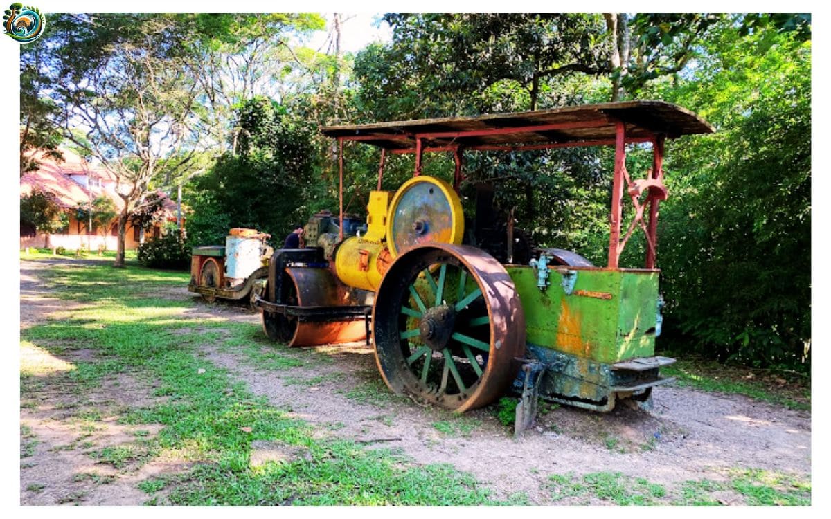 parque cemucam